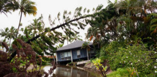 A house surrounded by floodwaters and fallen trees after a storm