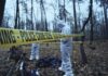 Forensic investigators at a police crime scene in a forest