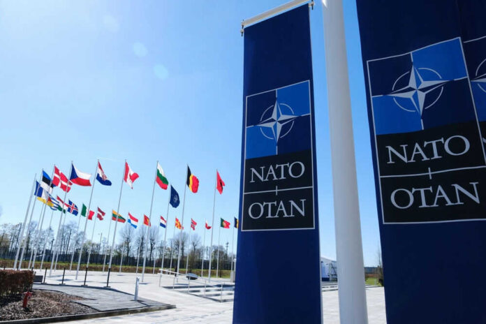 NATO flags and banners under clear blue sky