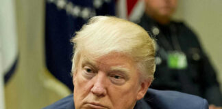 Trump Administration Developing Freedom.gov Portal To Counter European Speech Crackdown