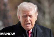 ICE Approval Rating Plummets Trump's Immigration Policy