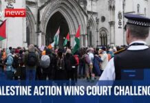 UK High Court Rules Ban on Palestine Action Unlawful but Allows Government Appeal