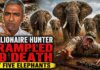 California Hunter Killed by Elephants During Safari in Gabon, Operator Confirms