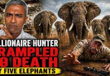 California Hunter Killed by Elephants During Safari in Gabon, Operator Confirms
