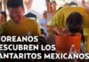 From Korea to Tequila! Korean fans go viral enjoying cantaritos before the World Cup From Korea to Tequila! Korean fans go viral enjoying cantaritos before the World Cup