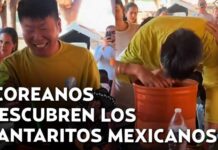 From Korea to Tequila! Korean fans go viral enjoying cantaritos before the World Cup From Korea to Tequila! Korean fans go viral enjoying cantaritos before the World Cup