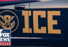 Canadian woman in ICE custody after allegedly SLAPPING teen over Trump clothing Canadian woman in ICE custody after allegedly SLAPPING teen over Trump clothing