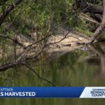 Trail closed After Gator Attack in Florida River Leaves 31-year-old Woman Dead Trail closed after gator attack in Florida river leaves 31-year-old woman dead