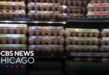Egg Giants Settle Price-Rigging Claims With Cash and 53 Million Eggs While Denying Any Wrongdoing Settlement reached over allegations of egg price-fixing
