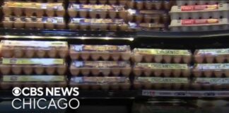 Settlement reached over allegations of egg price-fixing