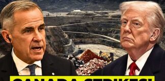 Canada BLOWS UP Entire U.S. Rare Earths Market With Latest Announcement!