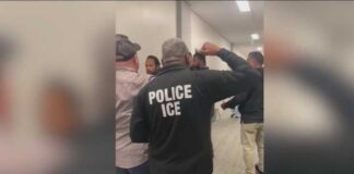 Immigration arrests in San Diego and Imperial Counties reach record highs
