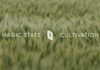 Google’s Quantum Flip Stuns Scientists Demonstrating Magic State Cultivation on the Willow Processor | Google Quantum AI
