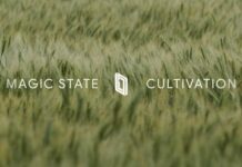 Demonstrating Magic State Cultivation on the Willow Processor | Google Quantum AI