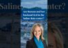 Are Jocelyn Benson and her husband tied to the Saline data center?